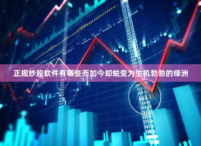 正规炒股软件有哪些而如今却蜕变为生机勃勃的绿洲
